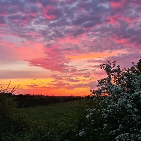 Domaine Des Pres De Joussac - Protocole Sanitaire Strict *