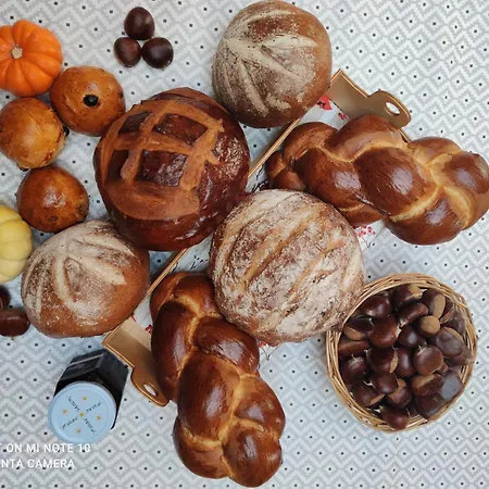 Ferienhaus Domaine Des Pres De Joussac - Protocole Sanitaire Strict