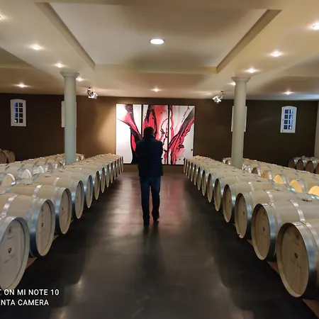 Ferienhaus Domaine Des Pres De Joussac - Protocole Sanitaire Strict